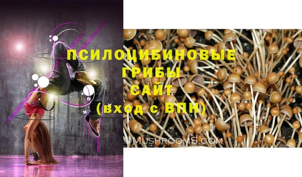 прущие грибы Зеленодольск