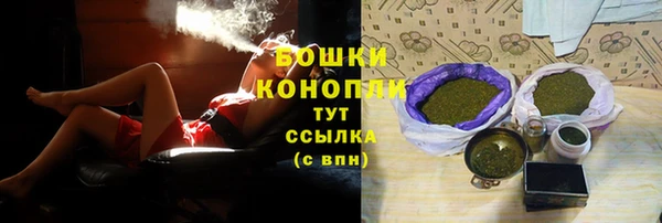 прущие грибы Зеленодольск