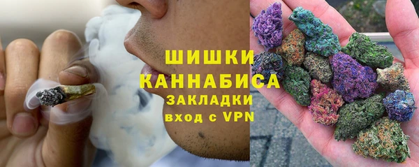прущие грибы Зеленодольск