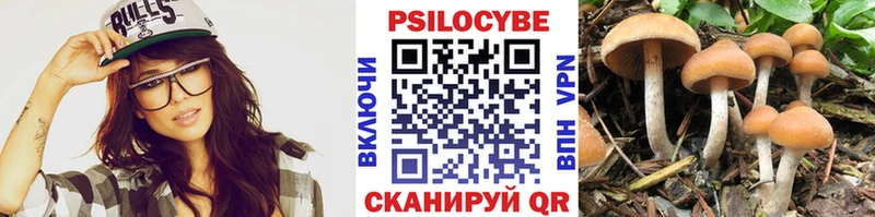 Псилоцибиновые грибы Magic Shrooms  где можно купить наркотик  shop как зайти  Элиста 